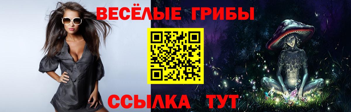 Псилоцибиновые грибы мухоморы Ликино-Дулёво