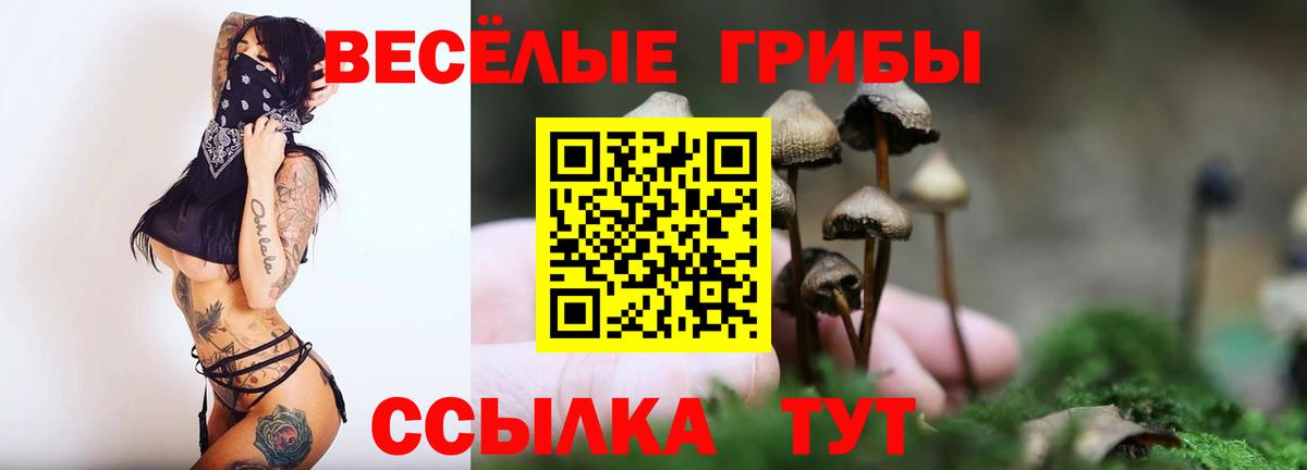 Галлюциногенные грибы MAGIC MUSHROOMS  Галлюциногенные грибы Psilocybine cubensis  где найти наркотики  Вход с VPN  Ликино-Дулёво 